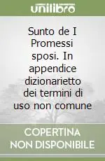 Affare Sunto de I Promessi sposi. In appendice dizionarietto dei termini di uso non comune