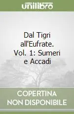 Dal Tigri all‘Eufrate. Vol. 1 Sumeri e accadi Di Tendenza
