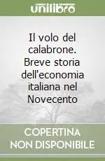 Solo Oggi Il volo del calabrone. Breve storia dell‘economia italiana nel Novecento