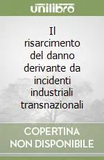 Spedito Oggi Il risarcimento del danno derivante da incidenti industriali transnazionali