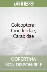 Affare Coleoptera Cicindelidae, Carabidae