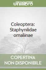 Coleoptera Staphynilidae omaliinae Offerta Lampo