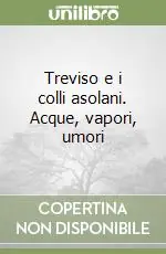 Treviso e i colli asolani. Acque, vapori, umori Vendita Finale