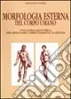 Occasione Imperdibile Morfologia esterna del corpo umano