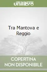 Tra Mantova e Reggio Offerta