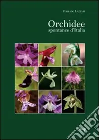 Orchidee spontanee d‘Italia. Ediz. illustrata Non Perdere