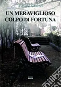 Un meraviglioso colpo di fortuna Bestseller