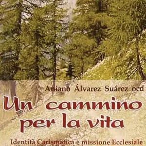 Un cammino per la vita. Identità carismatica e missione ecclesiale nel cammino di perfezione di s. Teresa di Gesù Offerta Limitata