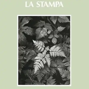 Compra Adesso La stampa
