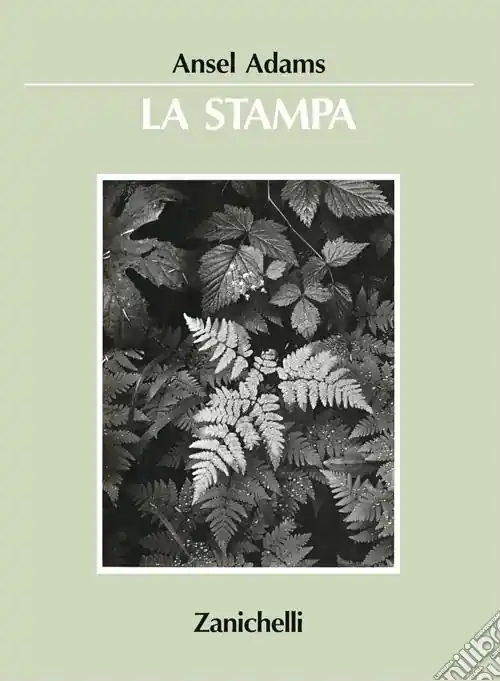 Compra Adesso La stampa