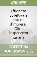 Efficienza collettiva e sistemi d‘imprese. Oltre l‘esperienza italiana Economico