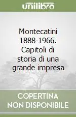 Affare Montecatini 1888-1966. Capitoli di storia di una grande impresa