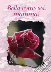 Sconto Bella come sei, mamma!