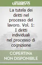 La tutela dei diritti nel processo del lavoro. Vol. 1 I diritti individuali nel processo di cognizione Più Venduto