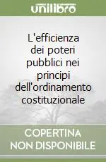 L‘efficienza dei poteri pubblici nei principi dell‘ordinamento costituzionale Popolare