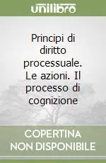Principi di diritto processuale. Le azioni. Il processo di cognizione Direttamente Dal Produttore