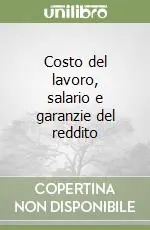Miglior Prezzo Costo del lavoro, salario e garanzie del reddito