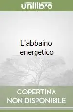 Prezzo Conveniente L‘abbaino energetico