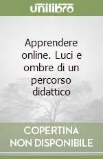 Pagamento Sicuro Apprendere online. Luci e ombre di un percorso didattico
