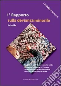 I numeri pensati. 1° Rapporto sulla devianza minorile in Italia Reso Gratuito