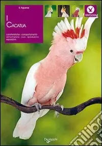 Ultima Occasione I Cacatua
