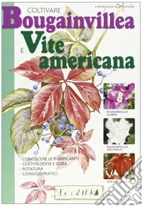 Coltivare bouganvillea e vite americana Prezzo Scontato