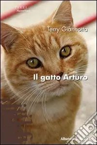 Il gatto Arturo Prezzo Di Fabbrica