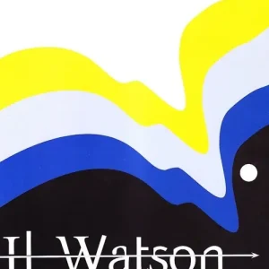 Sconto Il Watson. Nuovo manuale ragionato delle aperture. Vol. 3 L‘ apertura inglese e i suoi derivati