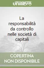 Pagamento Sicuro La responsabilità da controllo nelle società di capitali