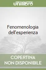 Pagamento Sicuro Fenomenologia dell‘esperienza