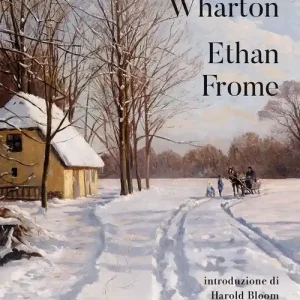 Occasione Ethan Frome
