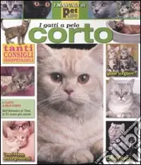 Miglior Prezzo Gatto a pelo corto