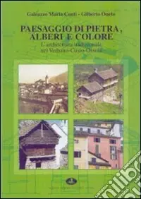 Prezzo Ridotto Paesaggio di pietra, alberi e colore. L‘architettura tradizionale nel Verbano-Cusio-Ossola. Ediz. illustrata