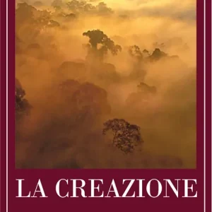 La creazione Novità