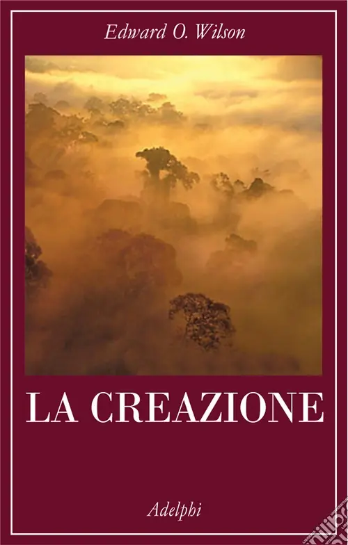 La creazione Novità