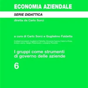 I gruppi come strumenti di governo delle aziende A Buon Prezzo