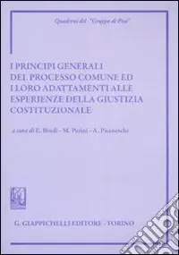 Più Venduto I principi generali del processo comune ed i loro adattamenti alle esperienze della giustizia costituzionale. Atti del Convegno (Siena, 8-9 giugno 2007)