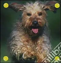 Il cane A Buon Prezzo