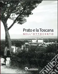 Popolare Prato e la Toscana nell‘Ottocento. Ediz. illustrata