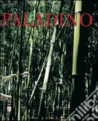 Pagamento Sicuro Paladino. Ediz. italiana e inglese