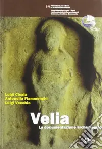 Ultima Occasione Velia. La documentazione archeologica