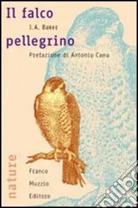 Il falco pellegrino Nuova Collezione
