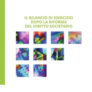 Il bilancio d‘esercizio dopo la riforma del diritto societario Offerta