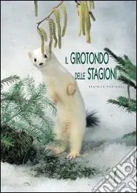 Il girotondo delle stagioni. Ediz. illustrata Spedizione Espresso