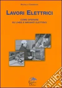 Spedizione Espresso Lavori elettrici. Come operare su linee e impianti elettrici