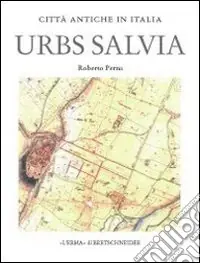 Occasione Urbs Salvia. Forma e urbanistica