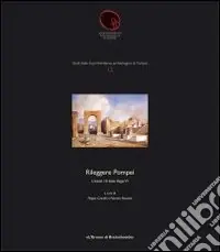 Rileggere Pompei. L‘insula 10 della Regio VI. Ediz. illustrataL‘insula 10 della Regio VI Prezzo Di Fabbrica