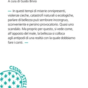 Cinque meditazioni sulla bellezza Spedizione Espresso