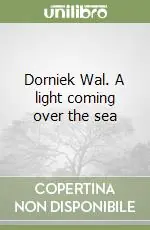 Economico Dorniek Wal. A light coming over the sea