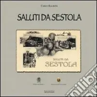Saluti da Sestola. 237 cartoline antiche. Ediz. illustrata Professionale